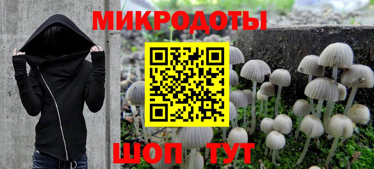 закладка  Вход с VPN  Екатеринбург  Псилоцибиновые грибы Psilocybine cubensis 